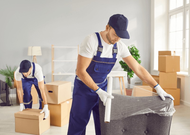 A Carrollwood Move Is About More Than Boxes: Making a Tampa Home Transition Work