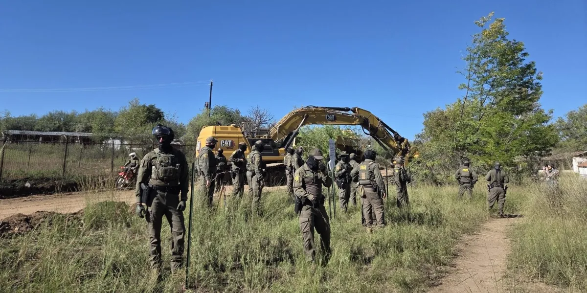 Armed Border Agents Arrest Protesters, Bulldoze 200-Year-Old Tree to Build Border Wall